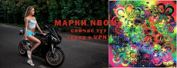 мяу мяу мука Баксан