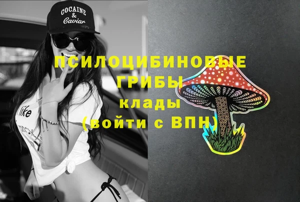 мяу мяу мука Баксан