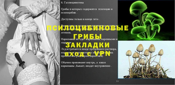 мяу мяу мука Баксан